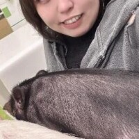 のどか