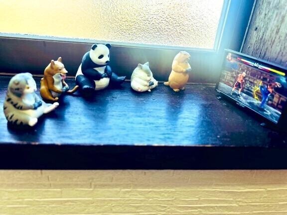 まおのお家の中　公開中‥🩷