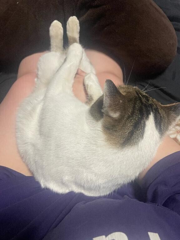 🐈ご無沙汰してます✋💜☔️