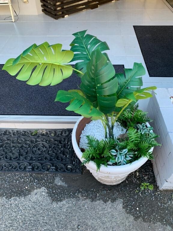 バタンキュ〜