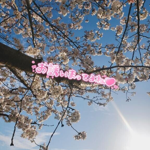 おつかれさまです🌸