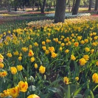 うた