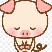 のどか