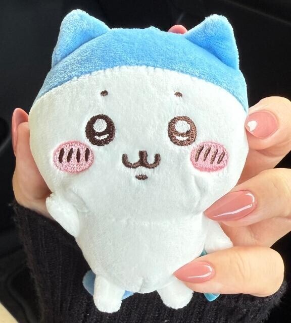 え…🐱💕