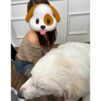 ひなの