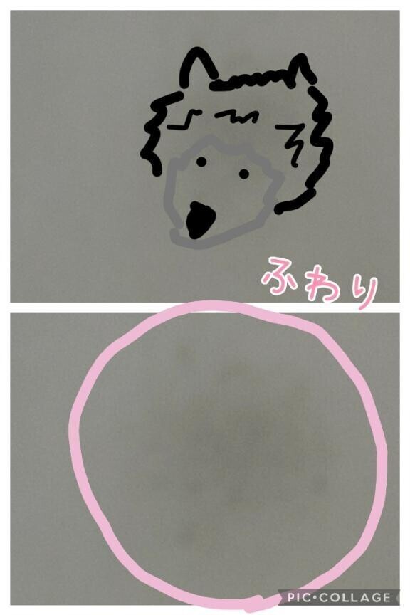 何に見える🤔？