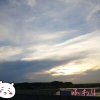ふわり