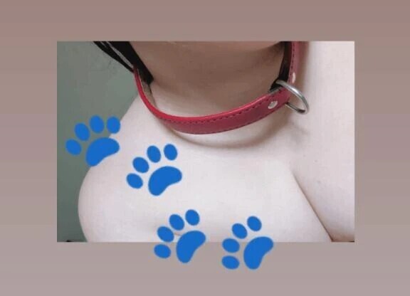 飼われるより飼ってみたい🐕️