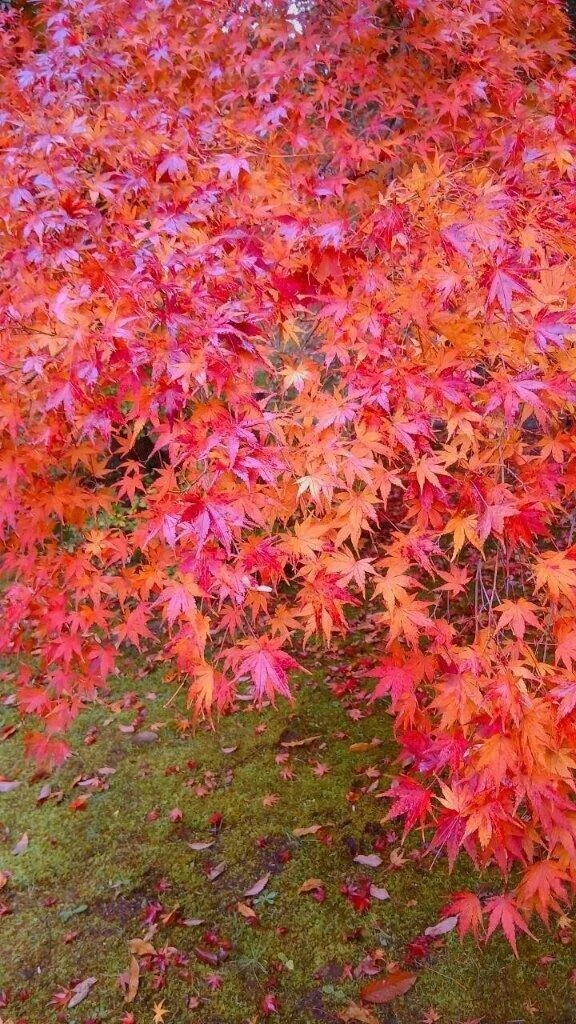 ありがとうございました♡