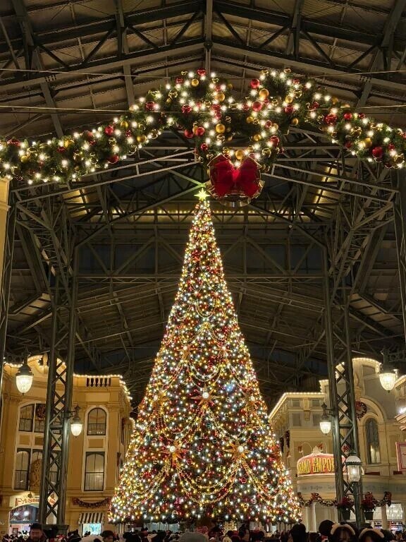 クリスマスイブだね🎄