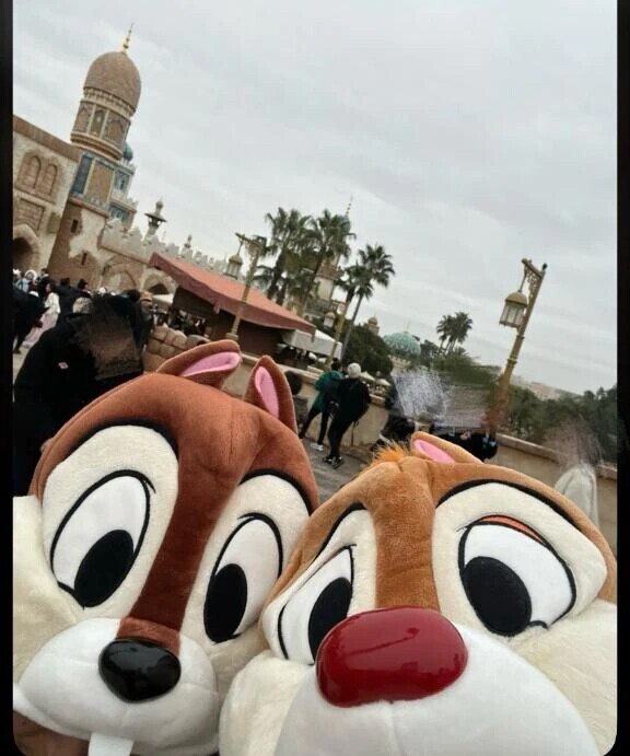 🐭🏰‪‪