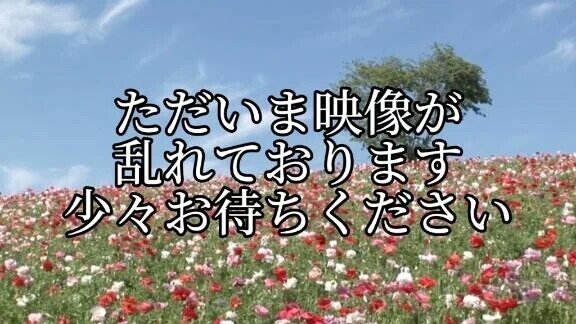 来週🌷🌷🌷