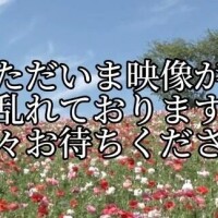 しの