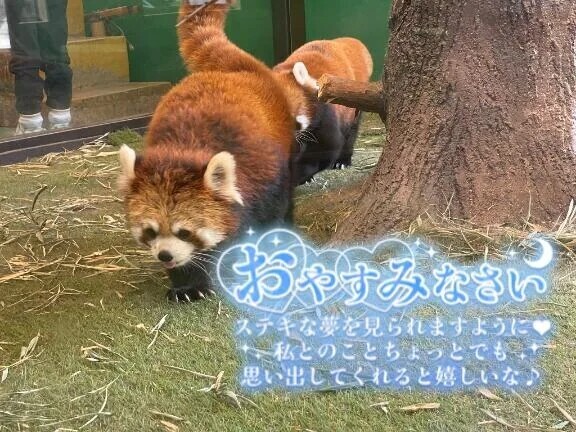 ✨️終了✨