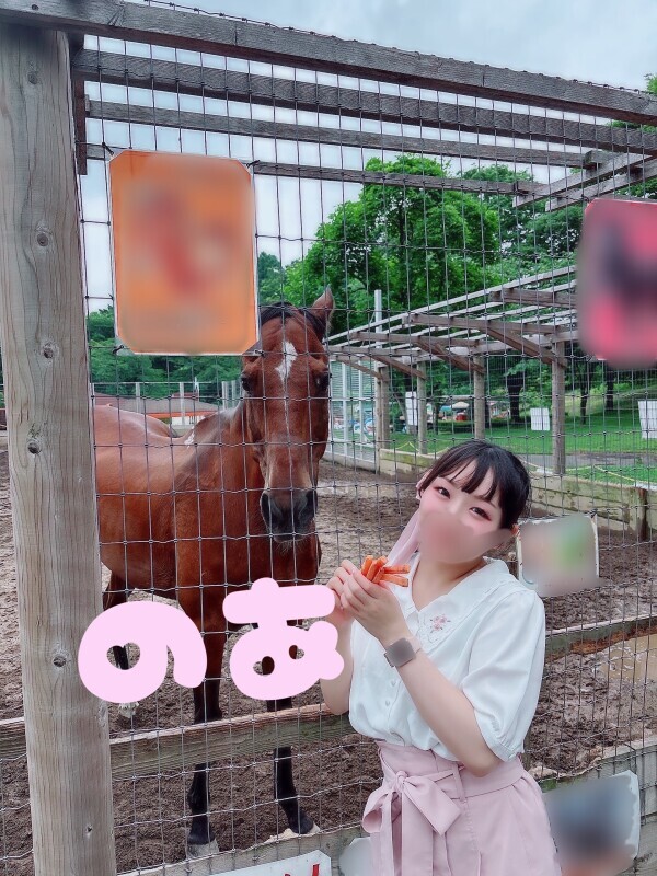 🐴🥕