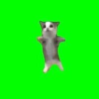 ハッピーハッピーハッピー🍀