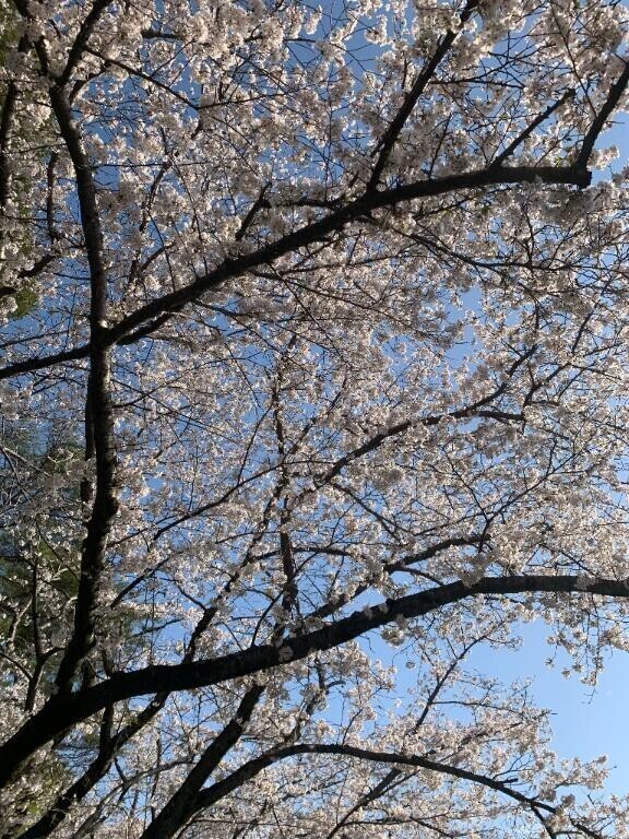 土曜日出勤するよ🫶