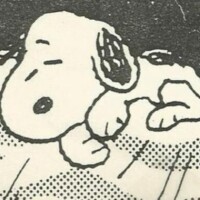 綾波るか