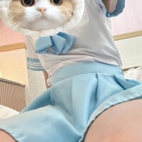 伊藤かなた