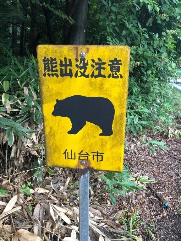 自然の中でリフレッシュ⛰✨