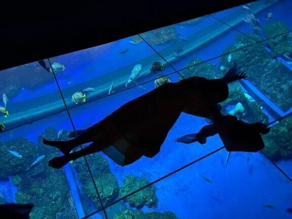 今回で最後かもしれない