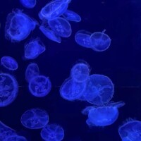 昨日はハマらせました🩷