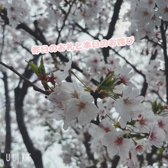 昨日のお礼と本日のお詫び🙏