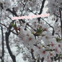 昨日のお礼と本日のお詫び🙏