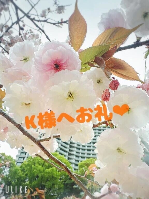 昨日のお礼‪‪❤︎‬