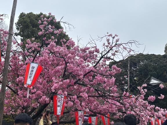 おはようございます！