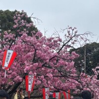 らく