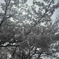 にな