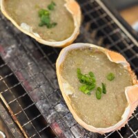 こんばんは