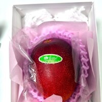 あむ