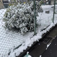 雪
