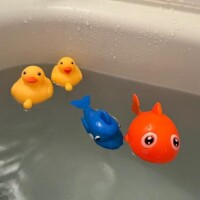 お友達???