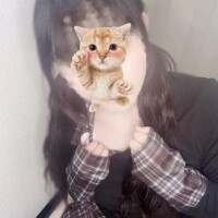 ゆい
