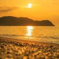 山田