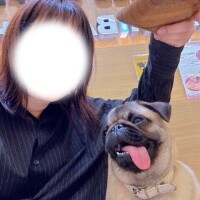藤木