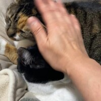 愛をお返し❤️
