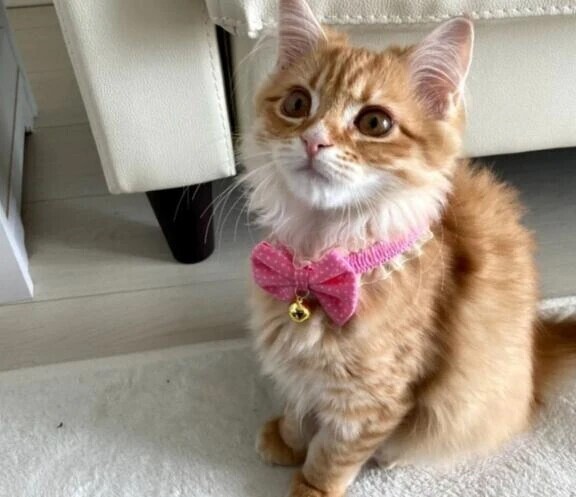 ♡