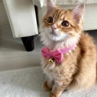 ♡