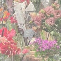ゆい