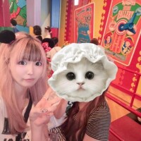 おはう🐰