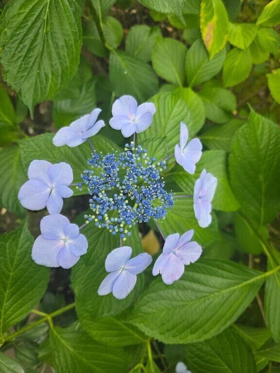 本日12-Lで出勤です🌟