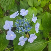 本日12-Lで出勤です🌟