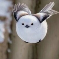 ありがとう
