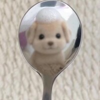 早起き
