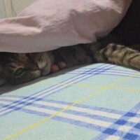 120分仲良しさん💌♡