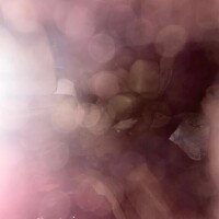 出勤しております！